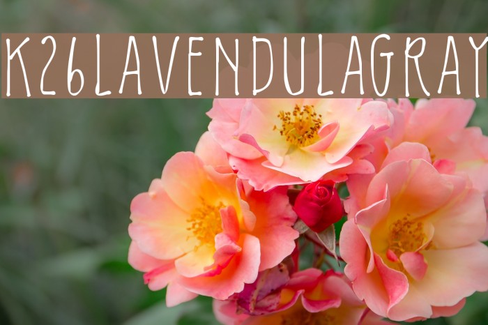 K26LavendulaGray Font examples