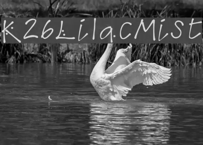 K26LilacMist Font examples