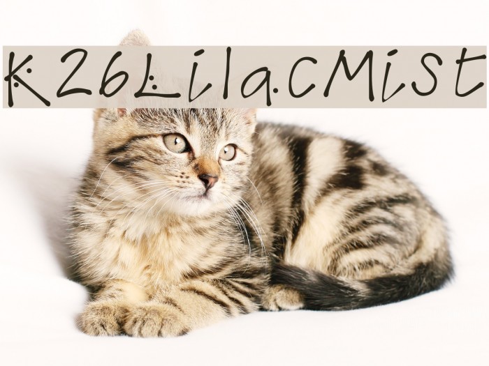 K26LilacMist Font examples