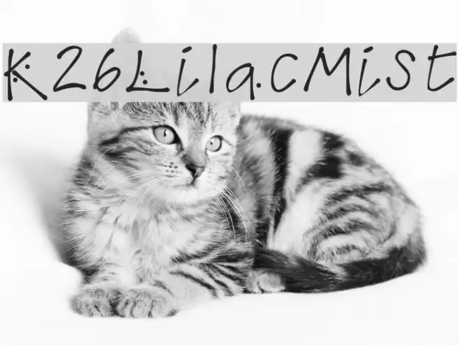 K26LilacMist Font examples
