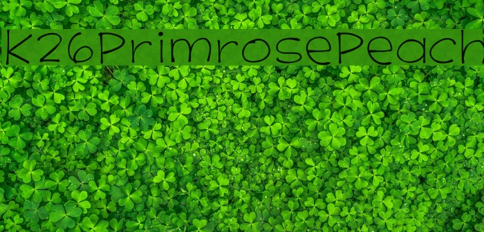 K26PrimrosePeach Font examples