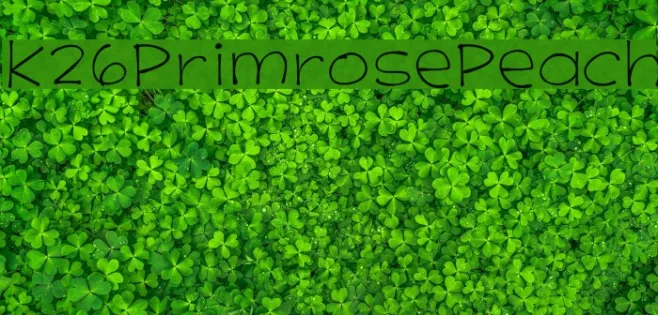 K26PrimrosePeach Example 2
