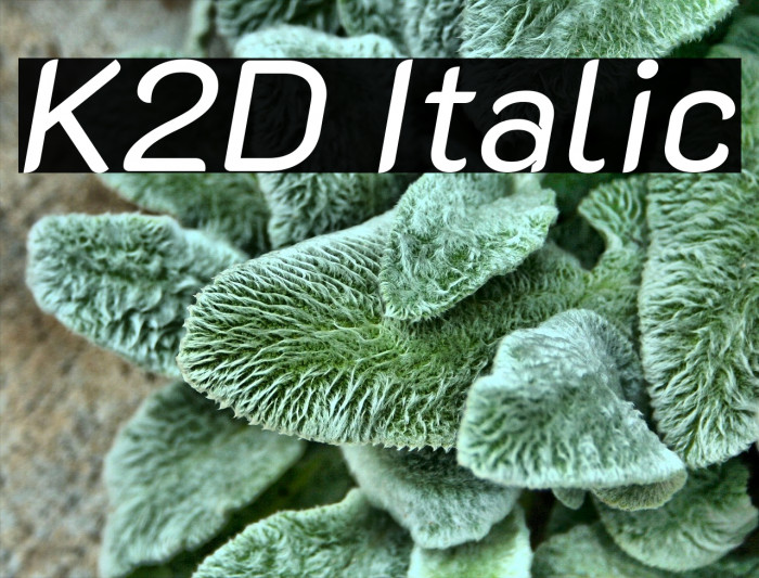 K2D Italic Font examples