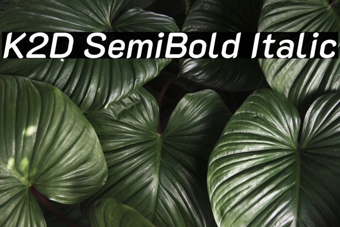 K2D SemiBold Italic Font examples