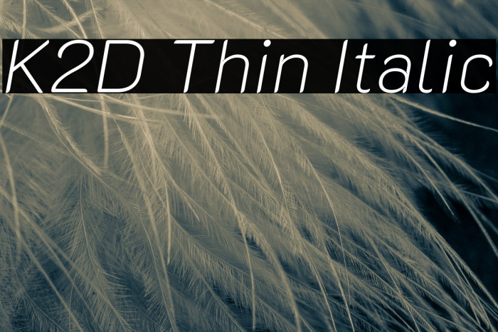 K2D Thin Italic Font examples