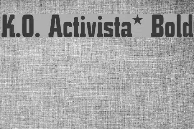 K.O. Activista* Bold Font examples