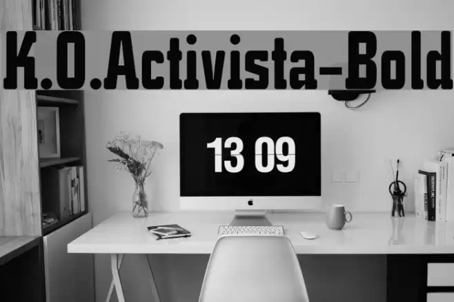K.O.Activista-Bold Fonte examples