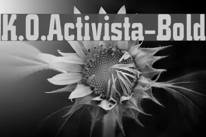 K.O.Activista-Bold Fonte examples