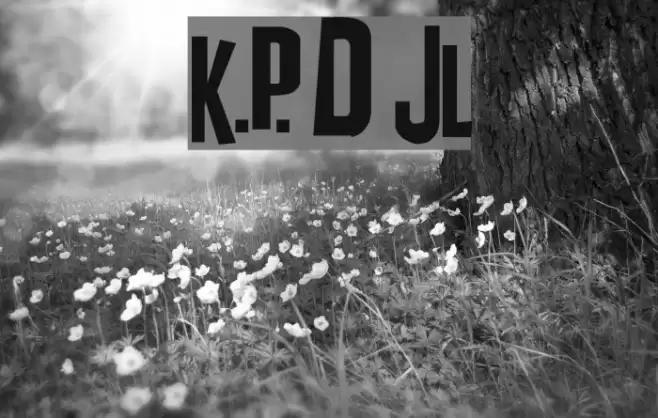 K.P. Duty JL Fuentes examples