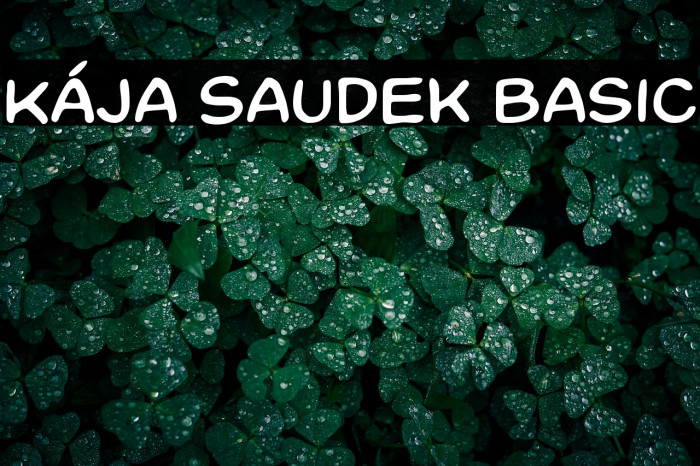 Kája Saudek Basic Example 1
