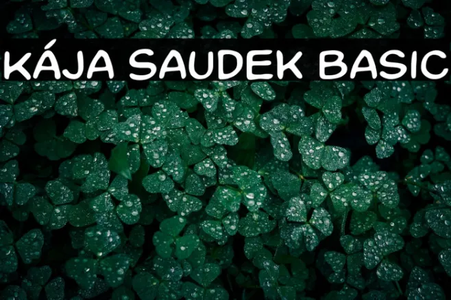 Kája Saudek Basic Example 1