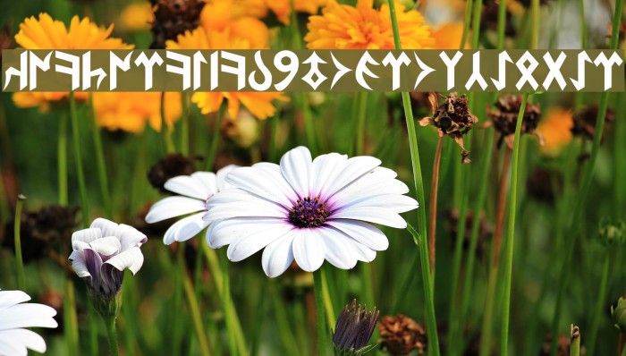 Köktürkish By Tugrul Çavdar Schriftart examples