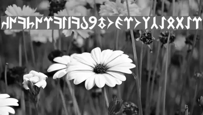 Köktürkish By Tugrul Çavdar Font examples