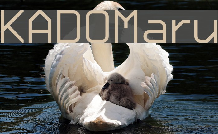 KADO_Maru Font examples