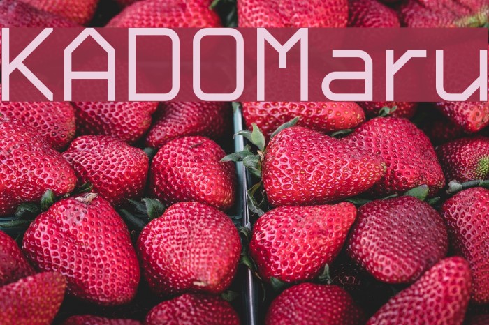 KADO_Maru Font examples