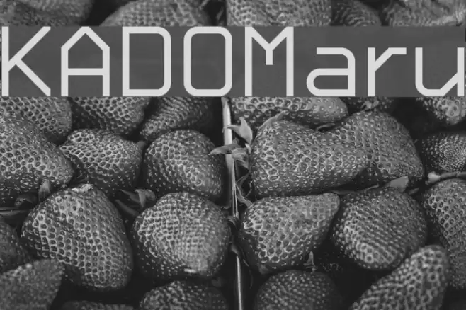 KADO_Maru Font examples