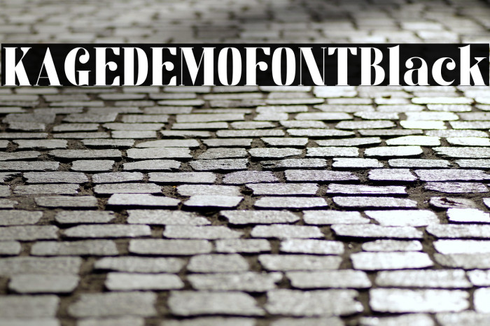 KAGE_DEMO_FONT-Black Example 2