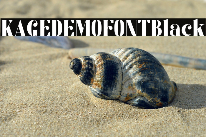 KAGE_DEMO_FONT-Black Example 3