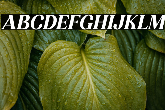 KAKURO Italic Example 1