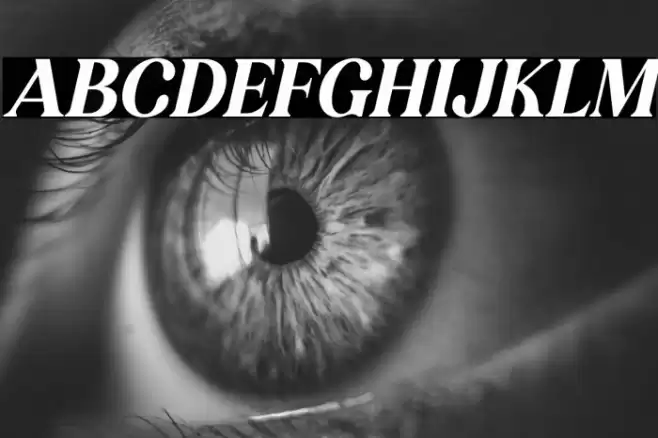 KAKURO Italic Font examples