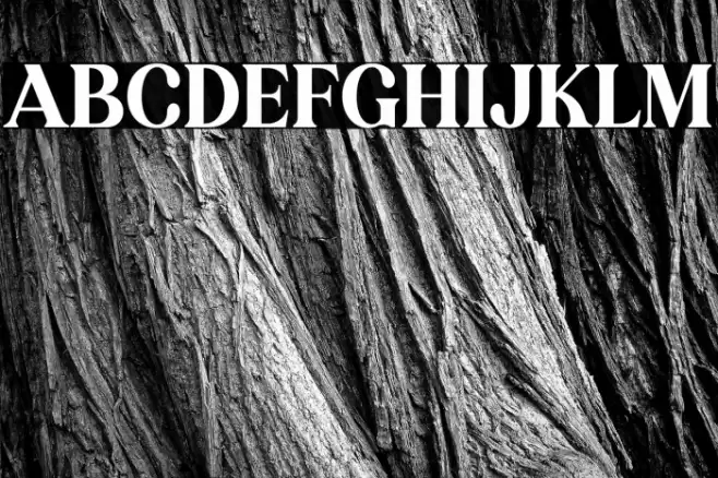 KAKURO Font examples