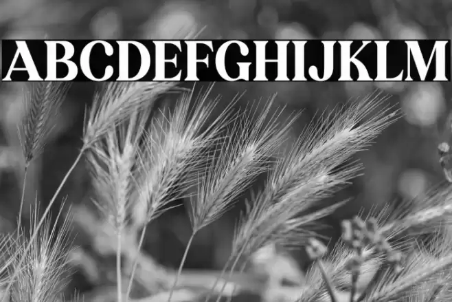 KAKURO Font examples