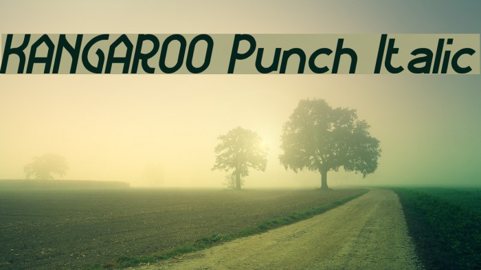 KANGAROO Punch Italic Font examples