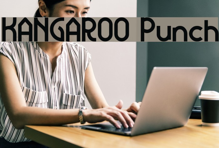 KANGAROO Punch Example 1