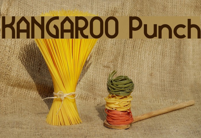 KANGAROO Punch Example 2