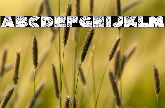 KAPPA-Regular Example 3