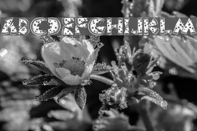 KAPizza Font examples