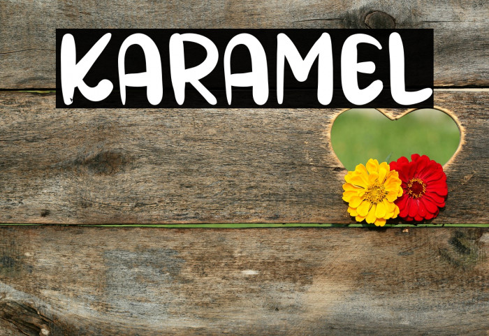 KARAMEL Example 1