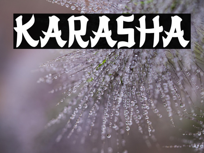 KARASHA Example 3