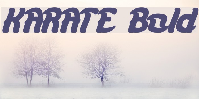 KARATE Bold Font examples