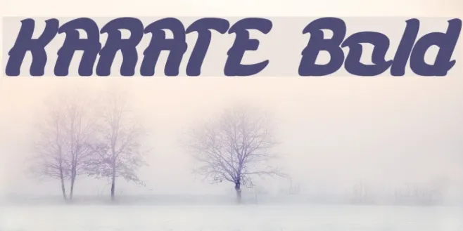 KARATE Bold Example 1