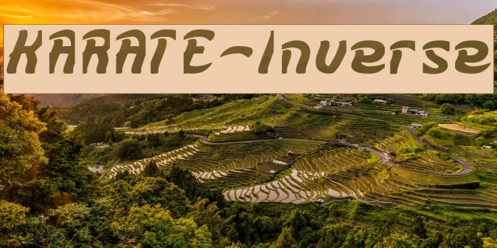 KARATE-Inverse Font examples