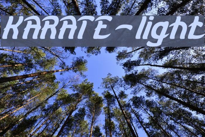 KARATE-light Example 3