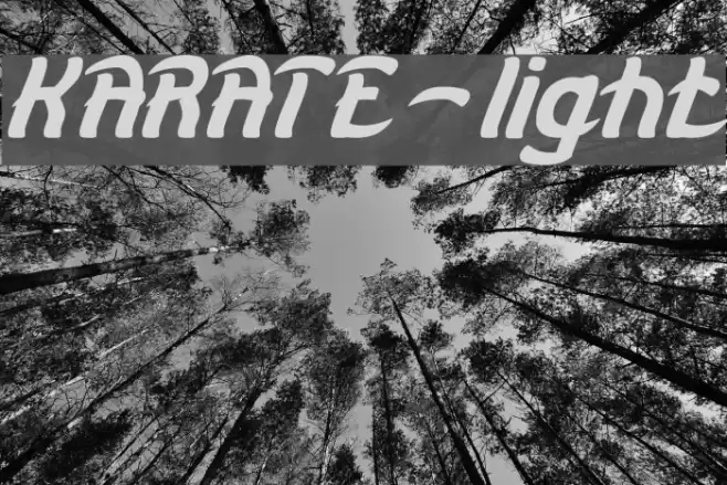 KARATE-light Font examples