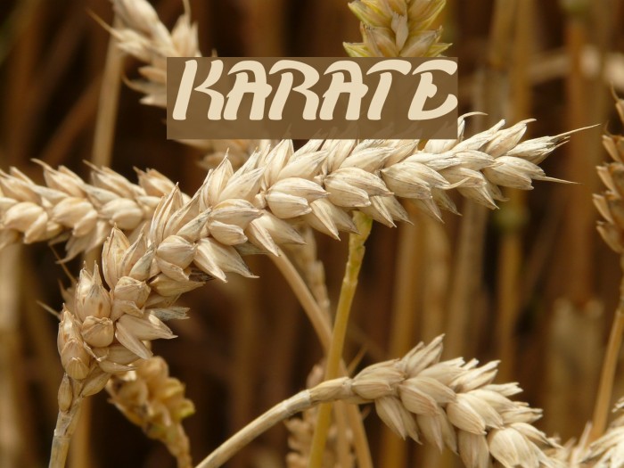 KARATE Font examples