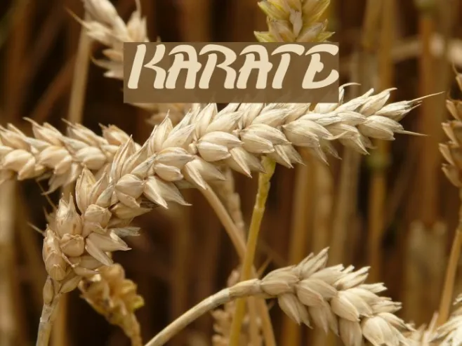 KARATE Example 2