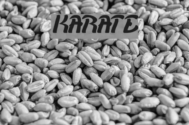 KARATE Font examples