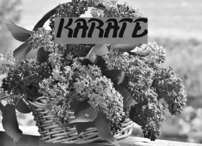 KARATE Font examples