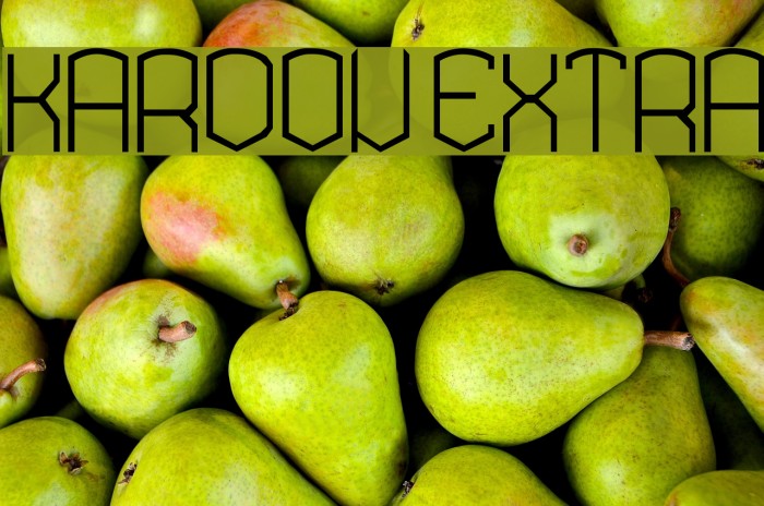 KARDON EXTRA Example 3