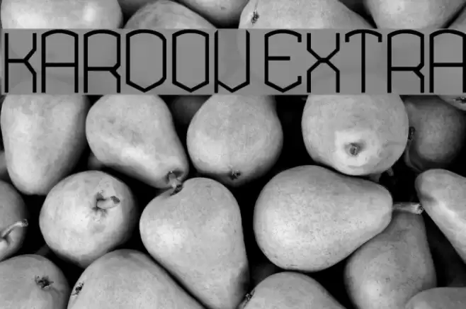 KARDON EXTRA Font examples