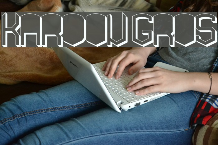 KARDON GROS Font examples