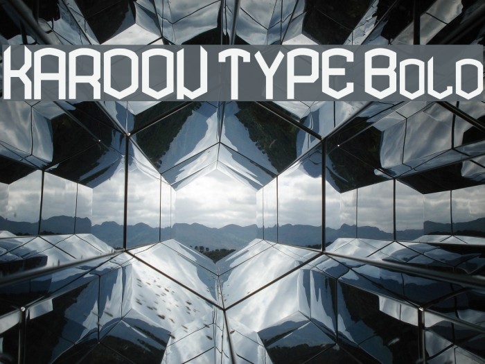 KARDON TYPE Bold Font examples