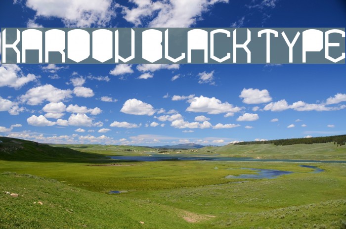 KARDON black TYPE Font examples