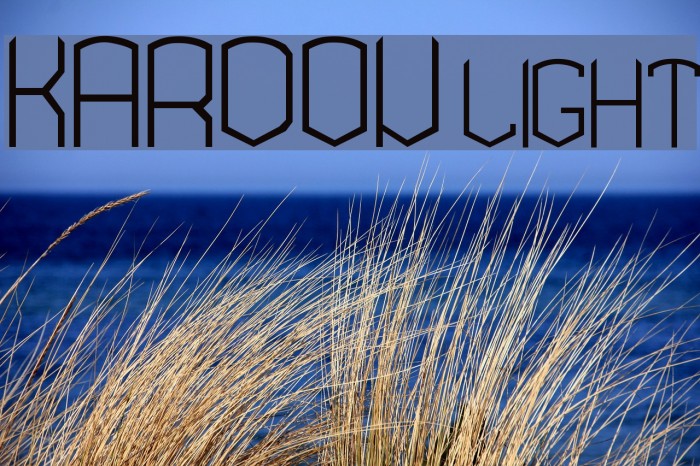 KARDON- light Font examples