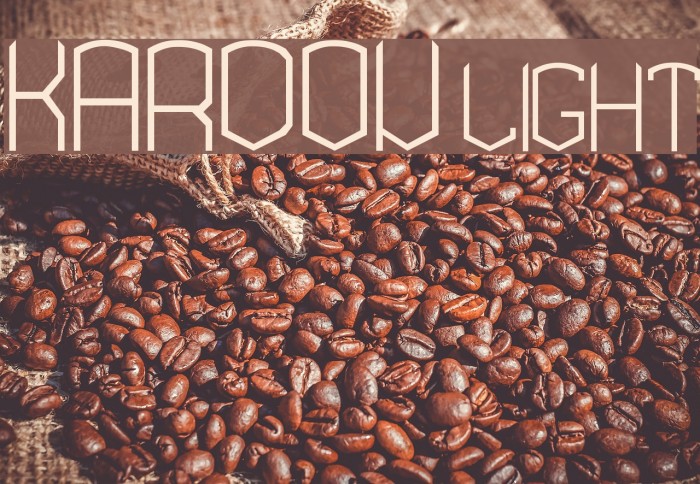 KARDON- light Font examples