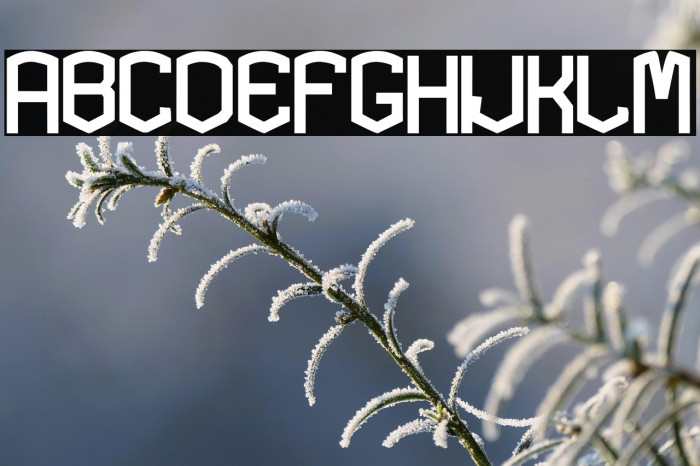 KARDONEXTRA-Bold Example 3